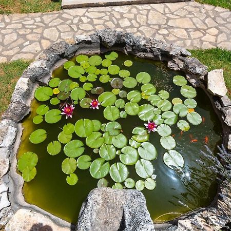 LoborikaLilo Lavenderアパートメント エクステリア 写真